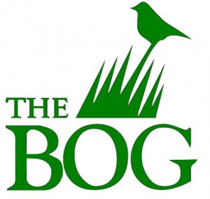 The Bog
